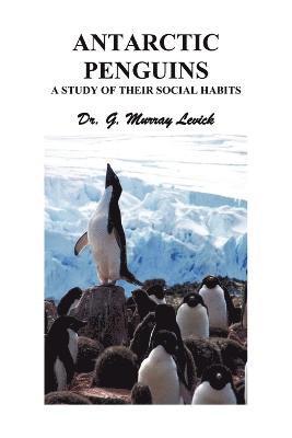 Antarctic Penguins 1