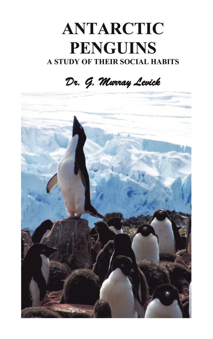 Antarctic Penguins 1