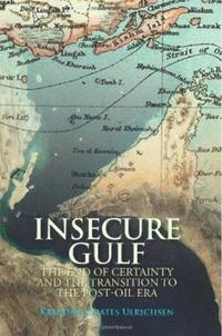 bokomslag Insecure Gulf