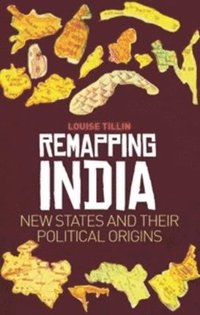 bokomslag Remapping India