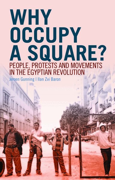 Jeroen Gunning, Ilan Zvi Baron - Why Occupy a Square?, Häftad