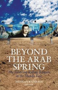 bokomslag Beyond the Arab Spring