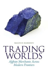 bokomslag Trading Worlds