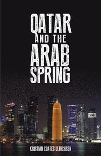 bokomslag Qatar and the Arab Spring