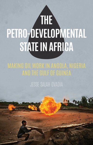 Jesse Salah Ovadia - Petro-Developmental State in Africa, Inbunden