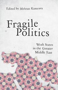 bokomslag Fragile Politics