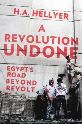 bokomslag Revolution Undone