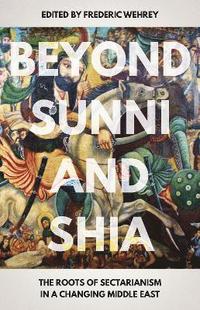 bokomslag Beyond Sunni and Shia