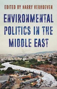 bokomslag Environmental Politics in the Middle East