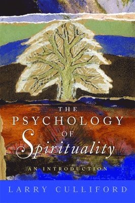 bokomslag Psychology of Spirituality