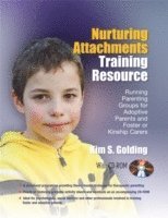 bokomslag Nurturing Attachments Training Resource