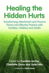 bokomslag Healing the Hidden Hurts