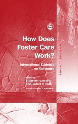 Elizabeth Fernandez, Richard Barth - How Does Foster Care Work?, Inbunden