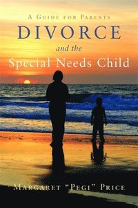 bokomslag Divorce and the Special Needs Child