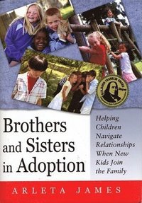 bokomslag Brothers and Sisters in Adoption