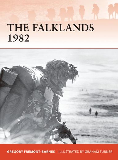 bokomslag Falklands 1982