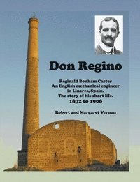 bokomslag Don Regino