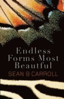Sean B. Carroll - Endless Forms Most Beautiful, Häftad