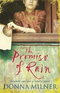 bokomslag Promise of Rain