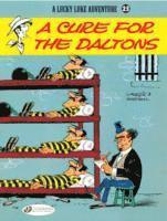 Lucky Luke 23 - A Cure for the Daltons 1