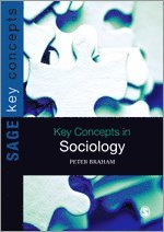 bokomslag Key Concepts in Sociology