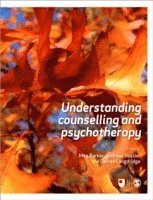 bokomslag Understanding Counselling and Psychotherapy