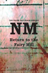 bokomslag Return to the Fairy Hill