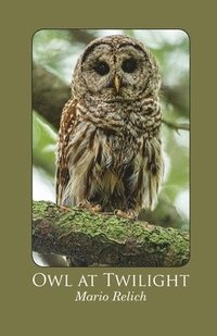bokomslag Owl at Twilight