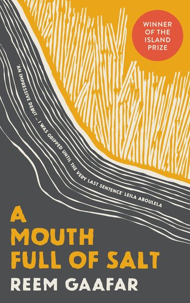 Reem Gaafar - Mouth Full of Salt, Häftad