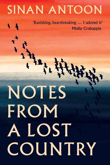 Sinan Antoon - Notes from a Lost Country, Inbunden