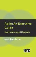 Agile: An Executive Guide