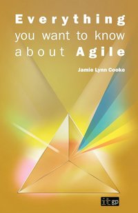 bokomslag Everything You Want to Know About Agile