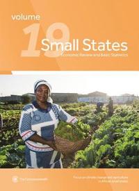 bokomslag Small States: Economic Review and Basic Statistics, Volume 19
