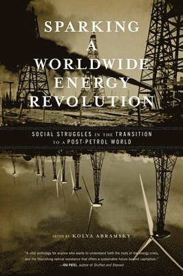 bokomslag Sparking a Worldwide Energy Revolution