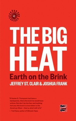 bokomslag Big Heat