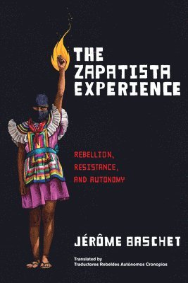 bokomslag The Zapatista Experience