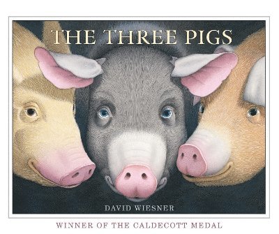 David Wiesner - Three Pigs, Häftad