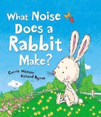 bokomslag What Noise Does a Rabbit Make?