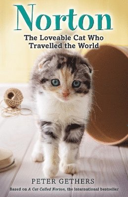 Peter Gethers - Norton, The Loveable Cat Who Travelled the World, Häftad