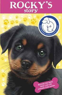 Scruffy Bear and the Lost Ball