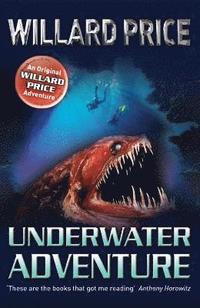 bokomslag Underwater Adventure