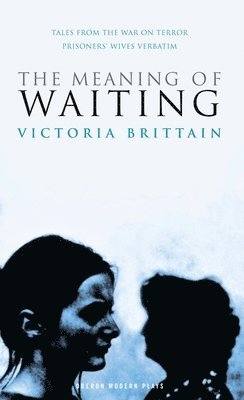 Victoria Brittain - The Meaning of Waiting, Häftad