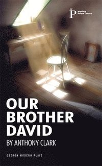 bokomslag Our Brother David