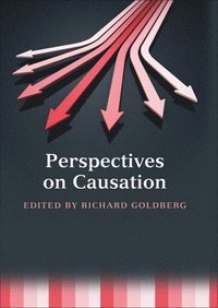 bokomslag Perspectives on Causation