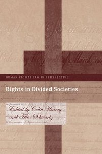 bokomslag Rights in Divided Societies