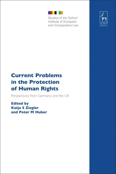 bokomslag Current Problems in the Protection of Human Rights