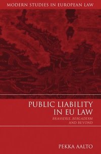 bokomslag Public Liability in EU Law