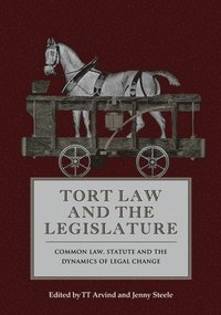 bokomslag Tort Law and the Legislature