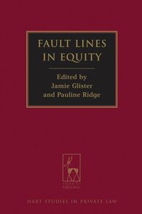 bokomslag Fault Lines in Equity
