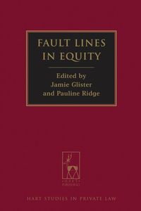 bokomslag Fault Lines in Equity